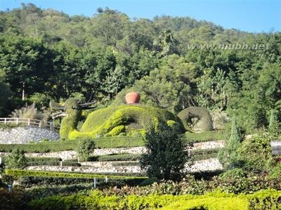 安溪清水岩、茶叶大观园、中国茶都一日游/团队天天发，一起去了解 安溪清水岩 清水祖师