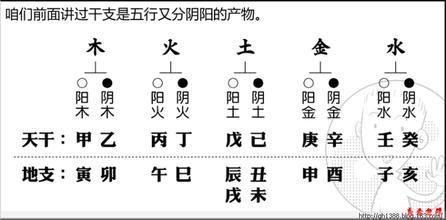 《命理还原》第二章阴阳天干地支的自然属性 天干地支阴阳属性