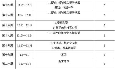 小学一年级（水平一）全年体育教学计划(原创） 六年级体育全年计划