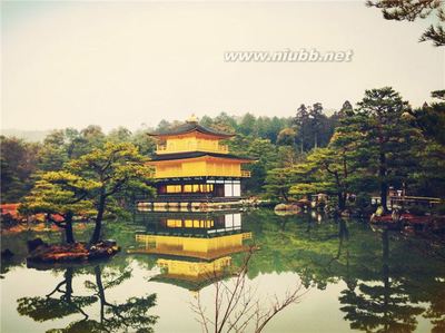 霓虹之京都（金阁寺/锦市场） 京都到金阁寺