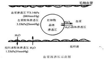 渗透压的单位 渗透压的国际单位