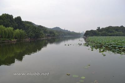 《念奴娇·秋日谒孤山秋瑾墓》——玉山诗草之史事篇 秋瑾人头照片