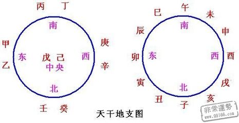 十天干和十二地支的来历 十二天干地支怎么读