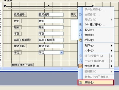 Access2003创建窗体(第零次更新：2012年06月02日)