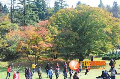 《佳期如梦》九江番外《我和杜丁丁是哥们儿》 佳期如梦赵丽颖