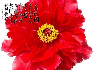 书法习帖《清平调·名花倾国两相欢》