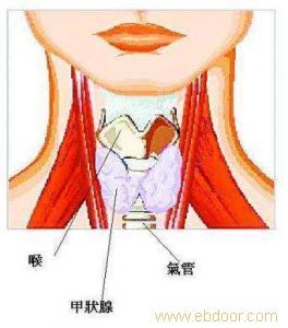 中医治疗甲状腺囊肿怎么样 甲状腺囊肿是怎么治疗