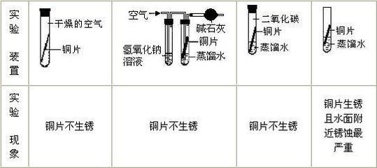 请你回忆一下自己曾经参与过或观察过的研究性学习活动，结合案例