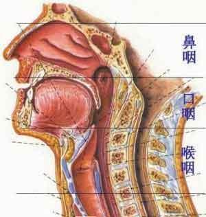 鼻咽癌的晚期症状 鼻咽癌怎么引起的