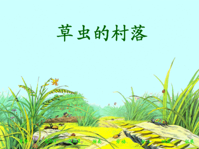 草丛的村落——仿写《草虫的村落》林星彤 仿写草虫的村落