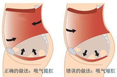 提肛运动好处多 提肛运动图解