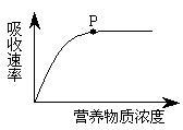 夏季高温时段，用较低温度的地下水灌溉，容易导致农作 夏季高温时段