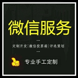 人工投票和代理投票是不一样的操作 微信人工投票