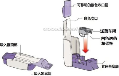 Afrezza(人胰岛素[rDNA来源])吸入粉使用说明书2014年第一版 吸入式胰岛素