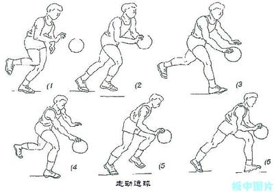 体育高考生“半场往返运球上篮”的实践探究 运球上篮教案