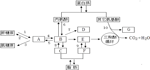 课本终于承认18O不是放射性同位素了 放射性同位素标记法