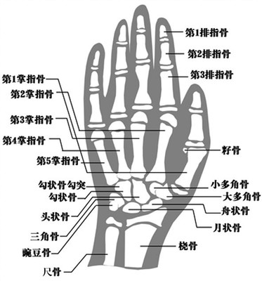 怎么测骨龄？ 测骨龄