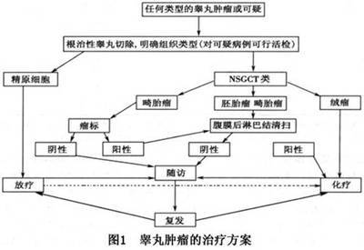 睾丸肿瘤和肿瘤样病变 甲状腺肿瘤病变