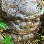 “桃花仙人种桃树，又摘桃花换酒钱”——明代画家、诗人唐伯虎（ 桃花仙人种桃树前一句