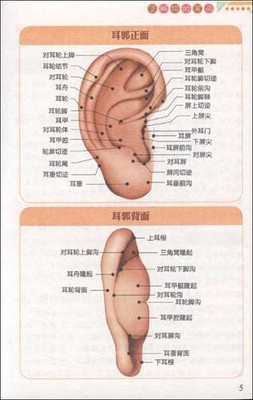 王正先生耳穴培训 清华 王正教授 国学