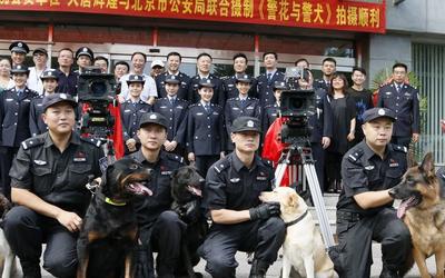 警犬卡尔儿时的回忆 警犬卡尔电视剧全集