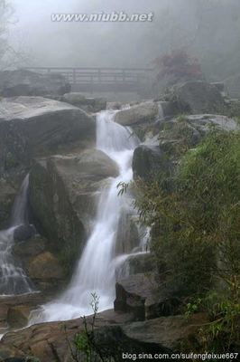 云和梯田游记——逃离梅竹村 云和县梅竹村