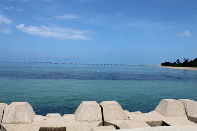 海的思念绵延不绝终于和天在地平线交汇 海的思念钢琴曲下载