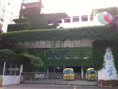 美丽的清林小学（朱祯雯） 清林小学啦啦操