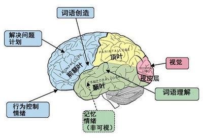 【转帖】奇怪的心理综合症_影歌 奇怪的心理现象