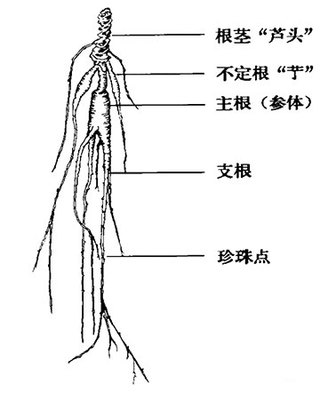 flashsky：我的安全之路(1-5