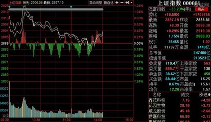 如何看实时(即时)分时走势图 如何看分时走势图