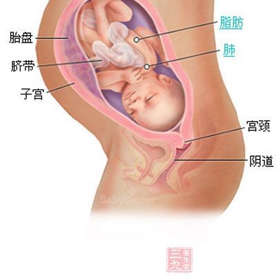 孕36周，我的顺产经历 怀孕 36周 顺产