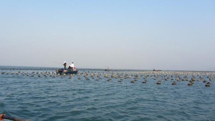 【海钓日志】船矶钓乌头 海钓乌头