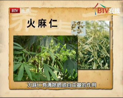 覃迅云 火麻仁(油)的功效与作用 火麻仁功效