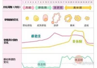 生理周期如何注意和护肤 生理周期护肤