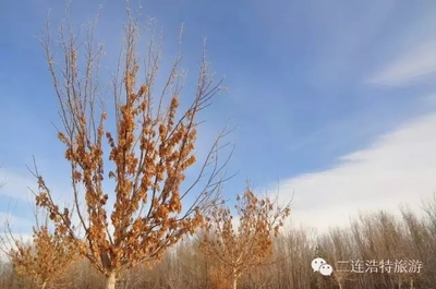 所有美丽，不及第一次遇见你 |瑞成长 成长的美丽