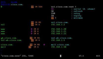 Linux下搭建DNS服务器和配置文件（named.conf）祥解 named checkconf