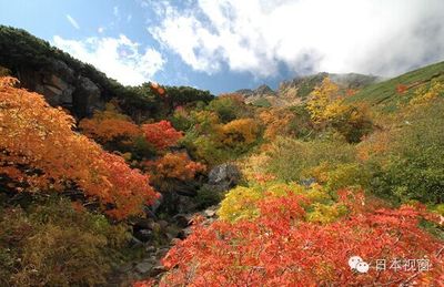 活火山富士山是否会是下一个？火山列岛 世界最高活火山