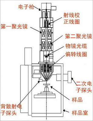 扫描电子显微镜（SEM）原理 扫描电子显微镜原理