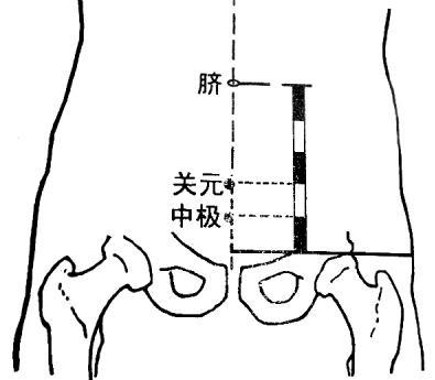 立秋了，马上灸关元 艾灸关元一个月感受