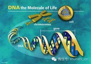 2009年诺贝尔生物医学奖确认：人类只得一种病！什么病呢？