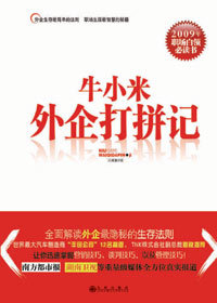 牛小米外企打拼记：从江湖滥仔到高级白领