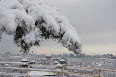 你那边下雪了吗？