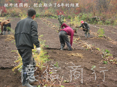 《餐饮在线》鲜参新派烹制技法 新派大六壬实战技法