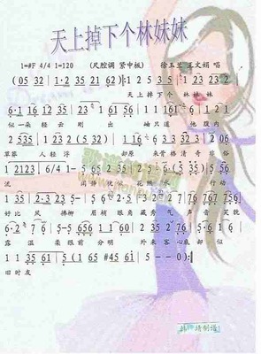 天上掉下个林妹妹《重庆散文》2013年第4期 越剧天上掉下个林妹妹