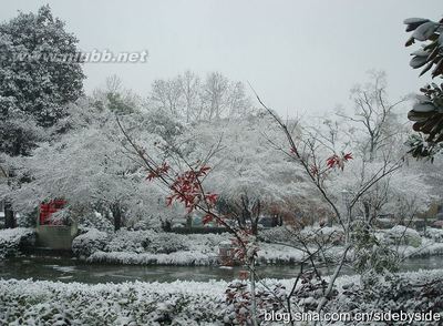 [转载]相聚西湖边，2010年冬天的第一场雪 冬天的第一场雪