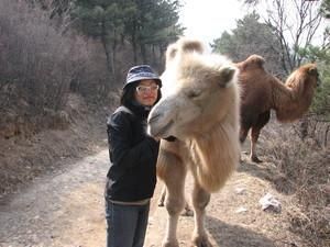 北京门头沟京西古道一日徒步攻略_古迹游_旅游_阿邦网 门头沟徒步路线