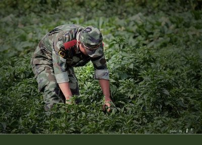 近摄沈阳武警支队的守桥卫士（一）---多彩的军营生活 多彩摄像头