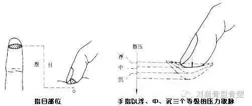 原来中医这么简单：可遇不可求名师教你诊脉