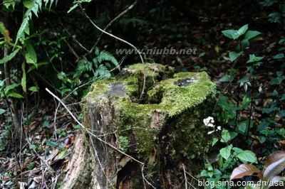 高黎贡山自然公园速游记 高黎贡山国家公园